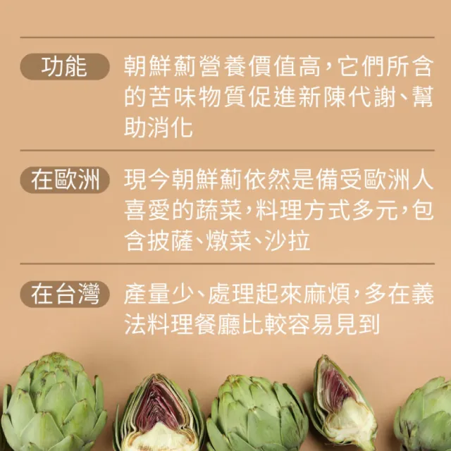 【德國 Natural Fit 活粒適】朝鮮薊萃取膠囊75粒(素食 含330毫克朝鮮薊萃取物 洋薊 促進代謝幫助消化)