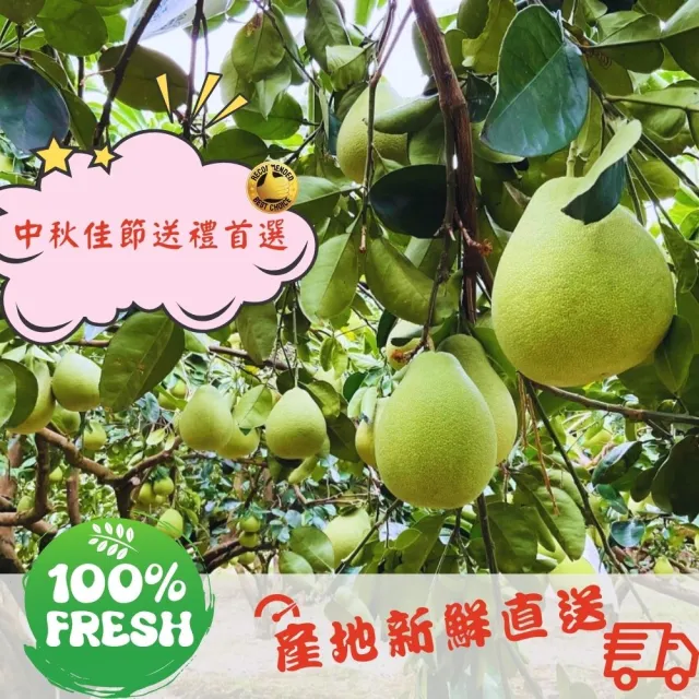 花蓮鶴岡60年老欉文旦禮盒10斤×1箱(9-15顆/箱_外銷等級_中秋送禮_企業採購_柚子)