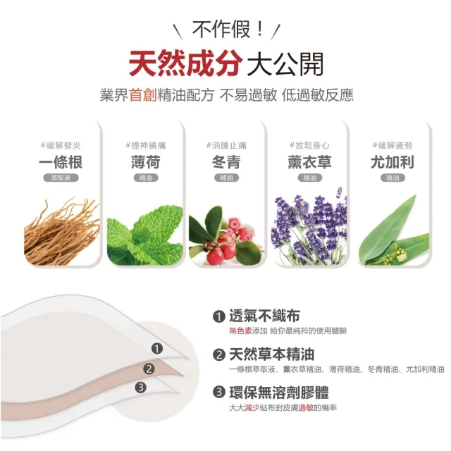 【Flowers 花芊】金牌 金門一條根精油貼布 國際限定版 3入組(8片/1包 外用強效型)