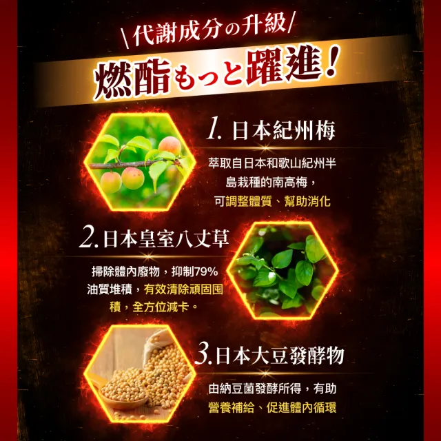 【Dr. Calorie 美体專科】打卡錠GOLD+ 30顆/盒(林舒語推薦；長效燃燒)