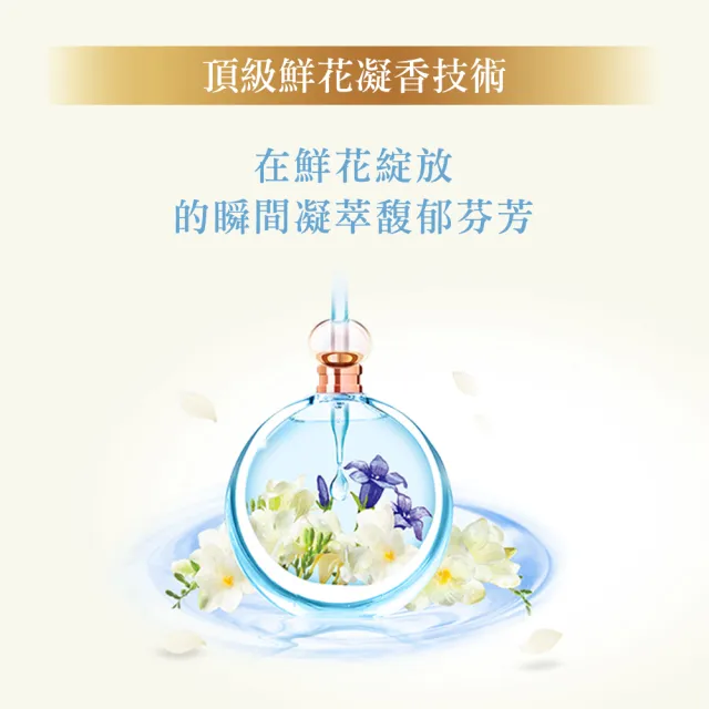 【熊寶貝】香水精華柔軟護衣精瓶裝 700ml(玫瑰/小蒼蘭/山茶花)