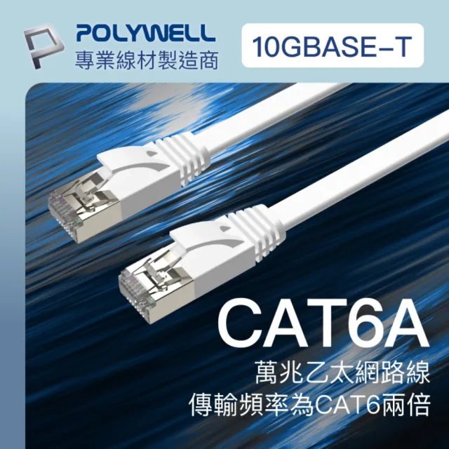 【POLYWELL】CAT6A 高速網路扁線 /3M