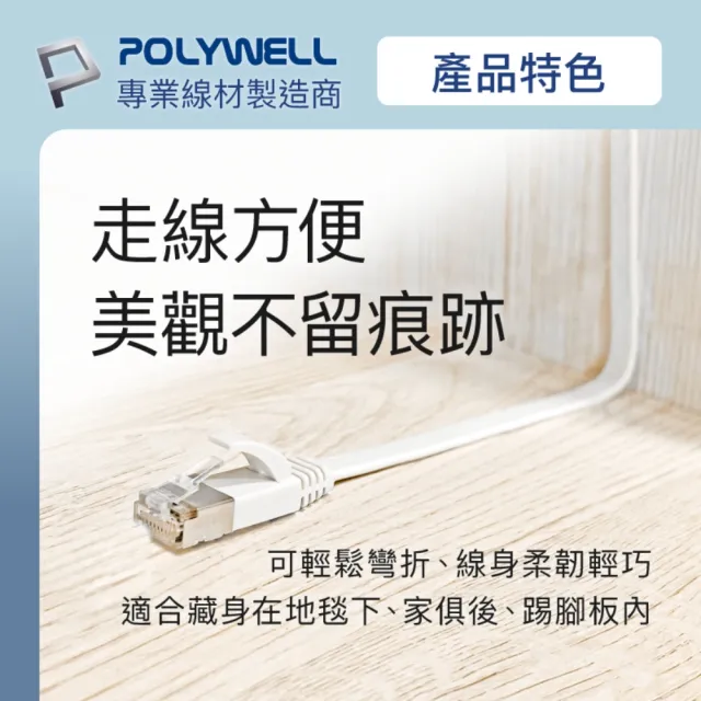 【POLYWELL】CAT6A 高速網路扁線 /3M