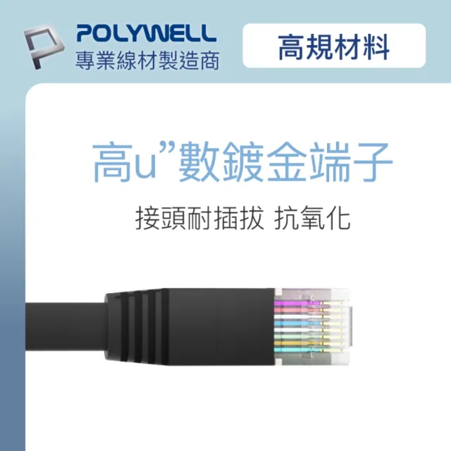 【POLYWELL】CAT6A 高速網路扁線 /3M