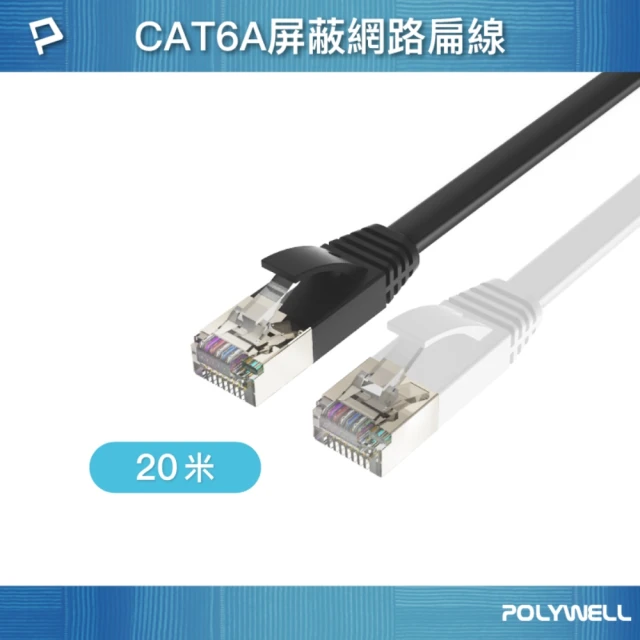 POLYWELL CAT6A 高速網路扁線 /20M