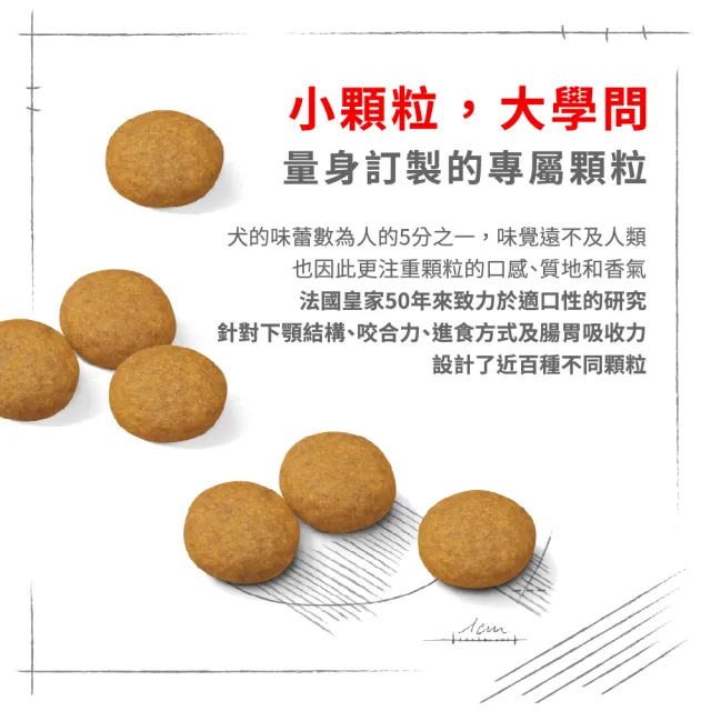 【ROYAL 法國皇家】皮膚保健大型成犬乾糧 DMMX 12KG(狗乾糧 狗飼料)