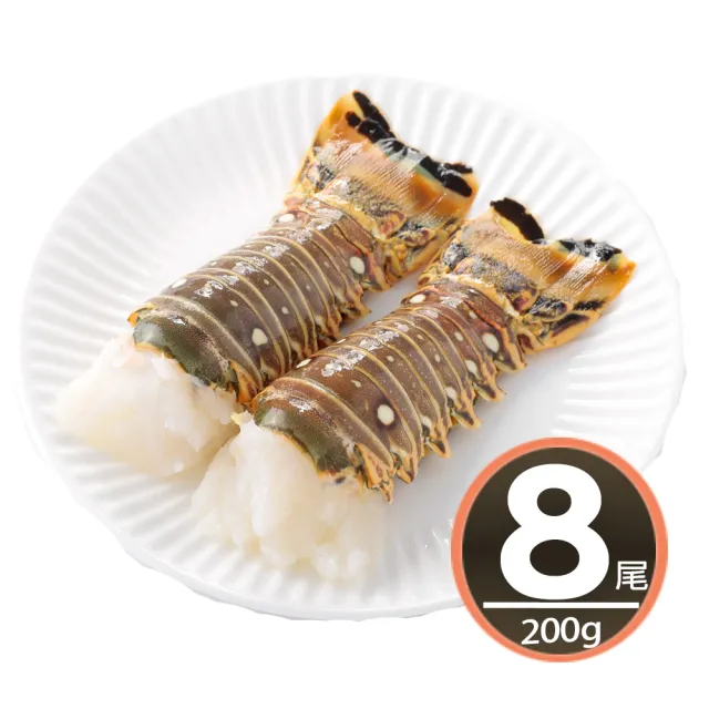 【2026】龍蝦身推薦ptt》10款高評價人氣品牌排行榜 | BALIMAN情報局