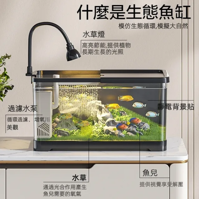 【星優】桌上型靜音生態魚缸 豪華款(免換水魚缸/桌面魚缸/小型魚缸/懶人魚缸/小魚缸/桌上缸/魚缸水族箱)