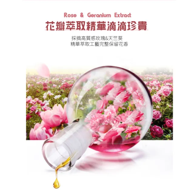 【AUS LIFE 澳思萊】玫瑰天竺葵柔護洗髮露500mlX3(洗後絲滑柔順 散發玫瑰香氛)