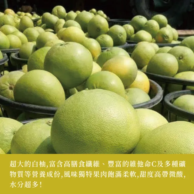 e果園-台南麻豆40年老欉特A選大白柚10台斤/箱(約4-5大顆/箱-在地老欉/柚香柚圓)