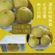 【e果園】台南麻豆40年老欉特A選大白柚10台斤/箱x2箱-柚子(約4-5大顆/箱x2箱)
