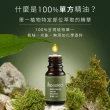 【mo select】100%植物精油3入花木調超值組 10ml(薰衣草/茶樹/絲柏)