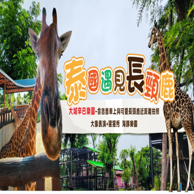 無購物-6人輕鬆成行 泰國曼谷沙美島芭達雅全明星號雙夜市精彩