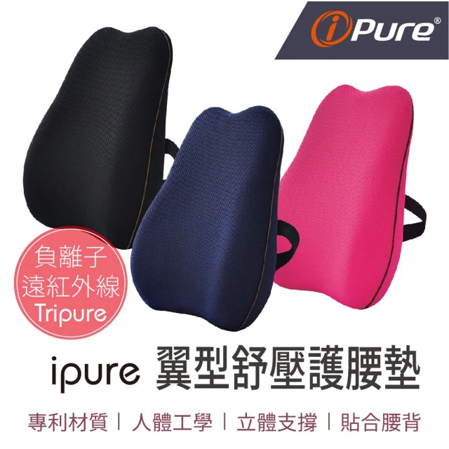 iPure 原廠貨 ipure翼型舒壓護腰墊/休息/辦公/旅