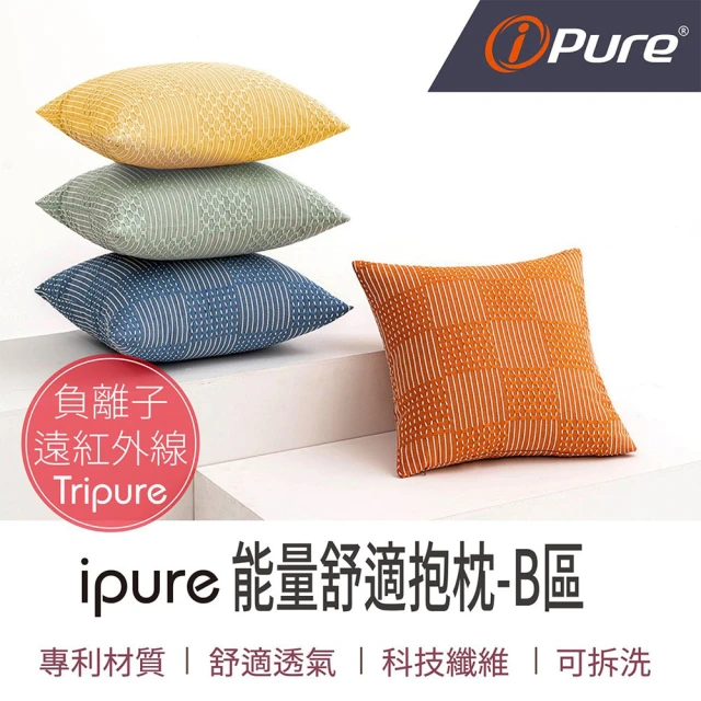 iPure 原廠貨 ipure 能量舒適抱枕/居家/休息/辦