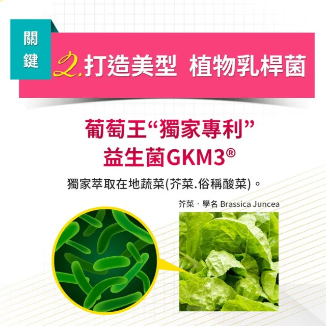 【葡萄王】認證易得纖30粒x3瓶 共90粒(LULU推薦 國家健康食品認證 不易形成體脂肪 益生菌膠囊 葡萄王官方)