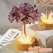【命運好好玩】湯鎮瑋-名利貴人紫晶樹燈