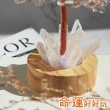 【命運好好玩】湯鎮瑋-化煞納福白晶樹燈