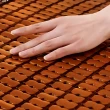 【DeKo岱珂】孟宗竹單人碳化麻將竹蓆 涼蓆 3D透氣加厚網布 速達(單人3*6尺)