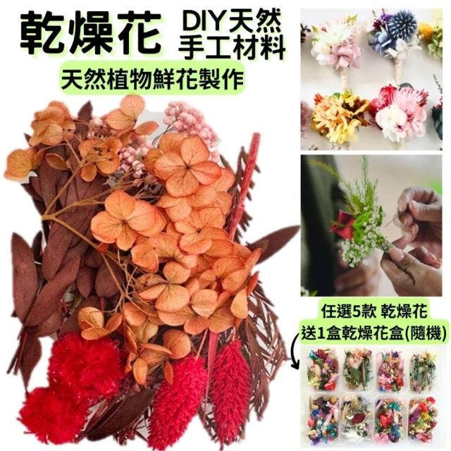 A-ONE 匯旺 DIY天然乾燥花 永生花材料包 綜合乾燥花盒 香薰蠟燭 香氛片材料 天然乾燥花(A05)