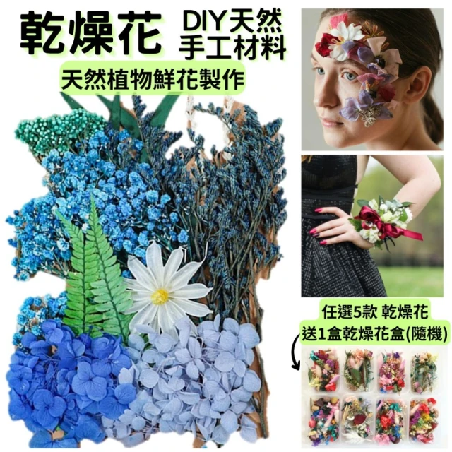 A-ONE 匯旺 教學花材包 乾燥花材包 花藝材料包 花束材料包 永生花材盒 壓花 貼花(C13)