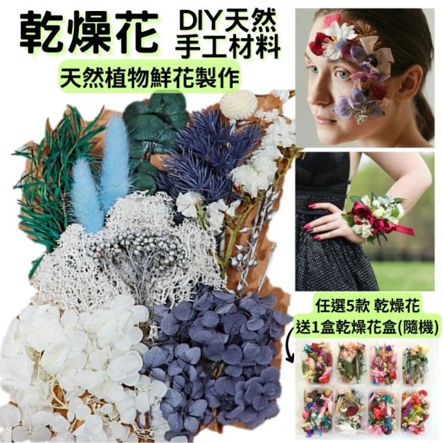 A-ONE 匯旺 DIY繽紛天然乾燥花 手作 花材 花藝材料包 拍照道具 浮游花 手腕花 情人乾燥花(C08)