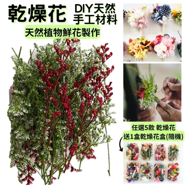 A-ONE 匯旺 永生情人草 DIY天然乾燥花 永生花材料包 植物果實 花材 花藝 不凋花 聖誕拍照 乾花(A20)