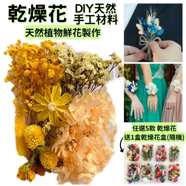 A-ONE 匯旺 乾燥花 不凋花 永生花 花材 DIY新手包 拍攝 道具 不凋花 乾燥花 永生花 花材 手作(B06)