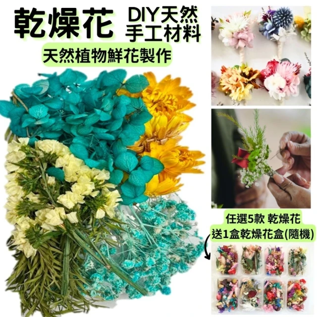 A-ONE 匯旺 乾燥花盒 永生花 DIY手作 苔癬 千日紅 花材盒 拍攝道具 佈置 裝飾 乾燥花(A06)