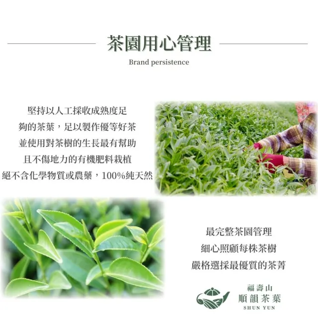 【順韻茶葉】福壽梨山茶一斤組75g x 8包(共1斤)