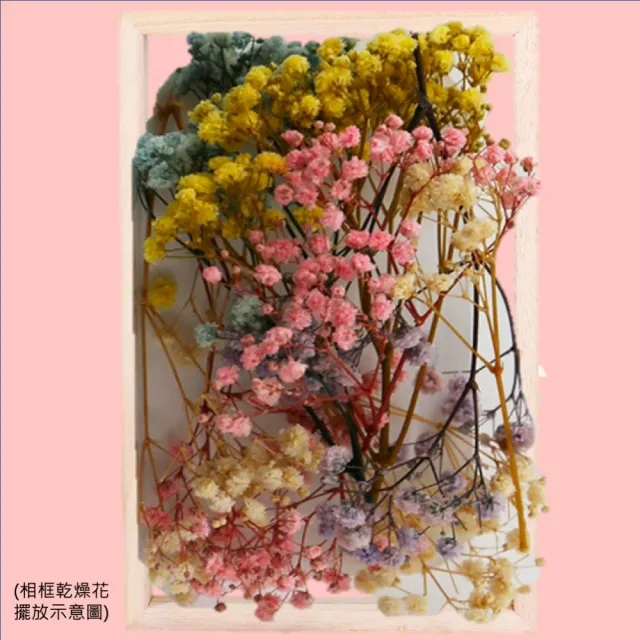 【A-ONE 匯旺】滿天星永生花 不凋滿天星 永生花材 乾燥花 情人節畢業花束 花禮 乾燥花束 捧花拍照(A24)