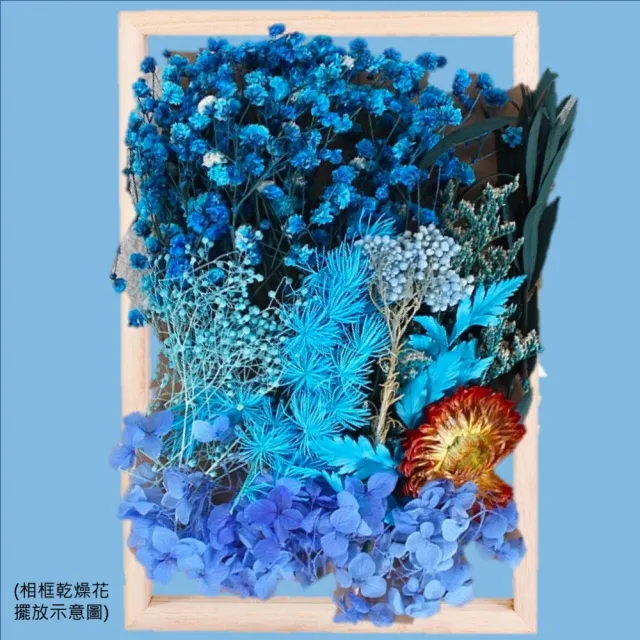 【A-ONE 匯旺】DIY藍色永生花材料包 多款多色 乾燥花材料包 情人節禮物 乾燥玫瑰 短枝花材 浮游花(C02)