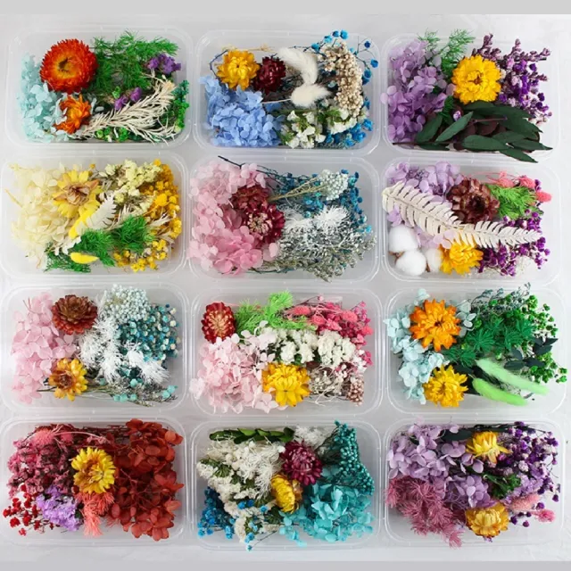 【A-ONE 匯旺】DIY藍色永生花材料包 多款多色 乾燥花材料包 情人節禮物 乾燥玫瑰 短枝花材 浮游花(C02)