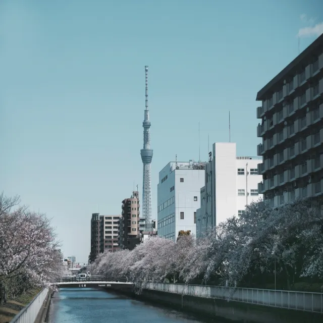 【東京五日自由行】10/27-03月★樂桃早去下午回+贈一晚東京噴泉別墅系列飯店五選一(兩人一室-單人券)