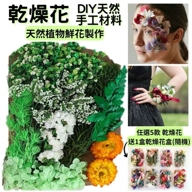 【A-ONE 匯旺】天然乾燥花 植物果實 拍照道具 花材 花藝材料包 浮游花 永生花 浮油花 乾花 乾燥花材(C11)
