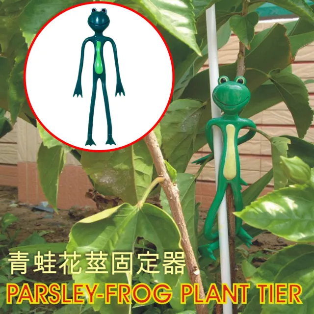 【金德恩】6隻-青蛙造型 園藝樹枝 固定器(藤蔓 植物夾 花莖夾 裝飾)