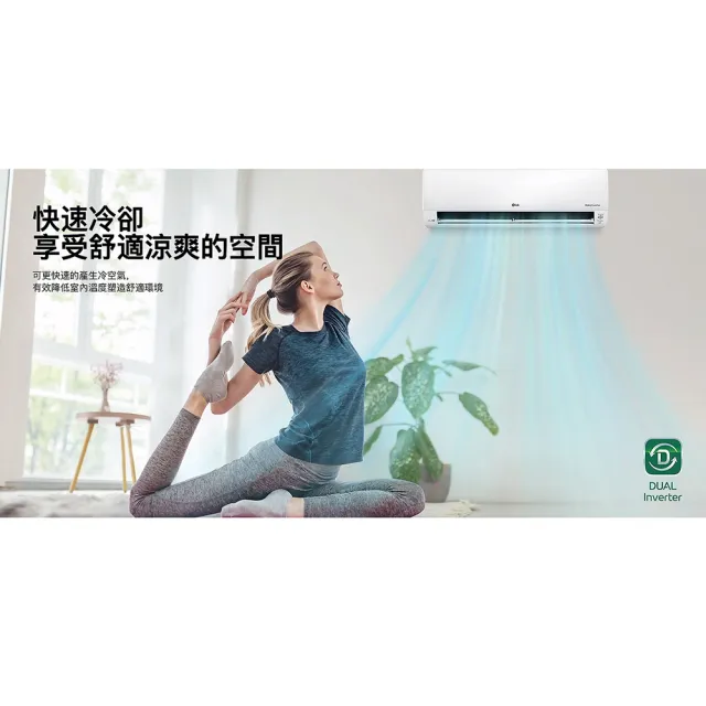 【LG 樂金】6-9坪◆旗艦WiFi雙迴轉變頻冷暖空調(LSN52DHPM+LSU52DHPM)