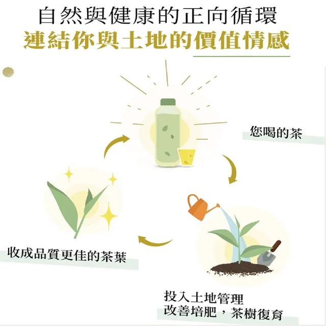 【Teascovery 發現茶】2盒兒茶素綠茶 (30入/盒;促進新陳代謝;冷泡茶包)