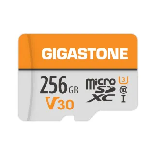 【GIGASTONE 立達】microSDXC UHS-Ⅰ U3 V30 256GB相機攝影記憶卡(支援相機/行車紀錄器/監視器)