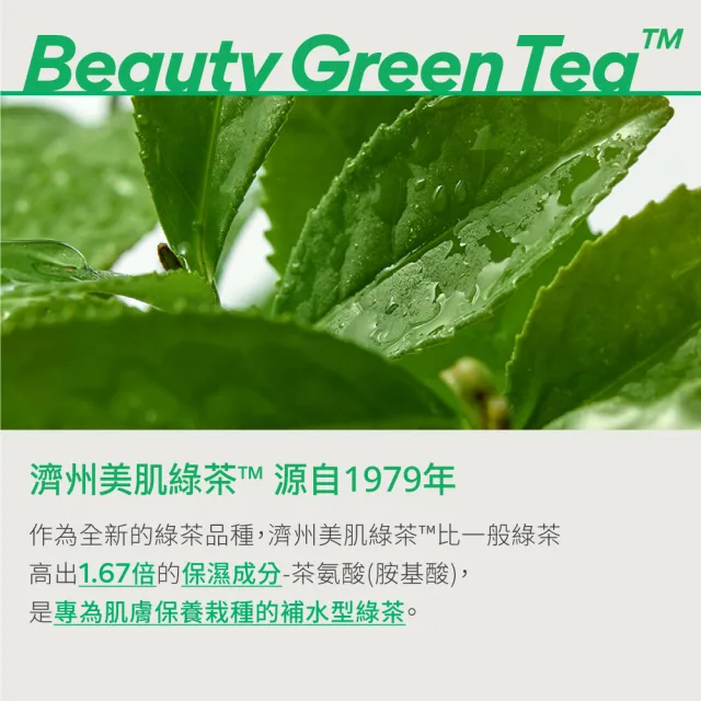 【INNISFREE】綠茶籽玻尿酸保濕霜 50ml