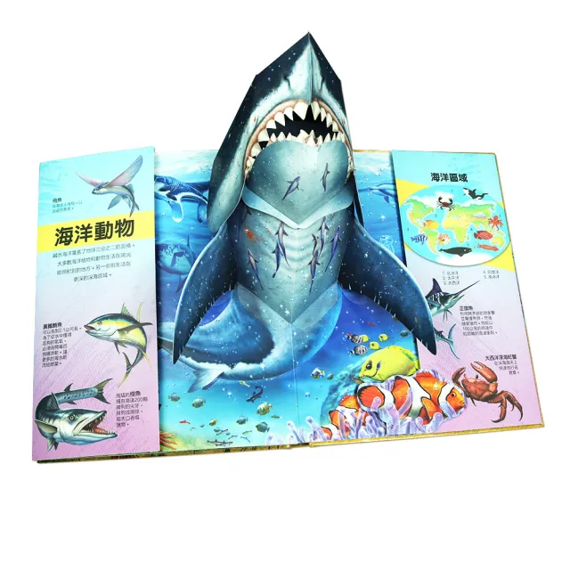 【華碩文化】動物秘訪︱XXL超大立體書系列