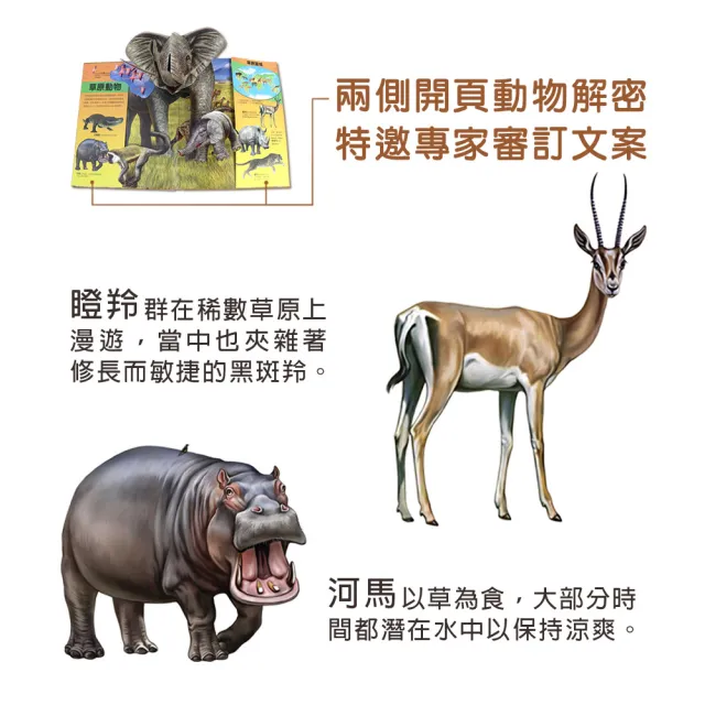 【華碩文化】動物秘訪︱XXL超大立體書系列