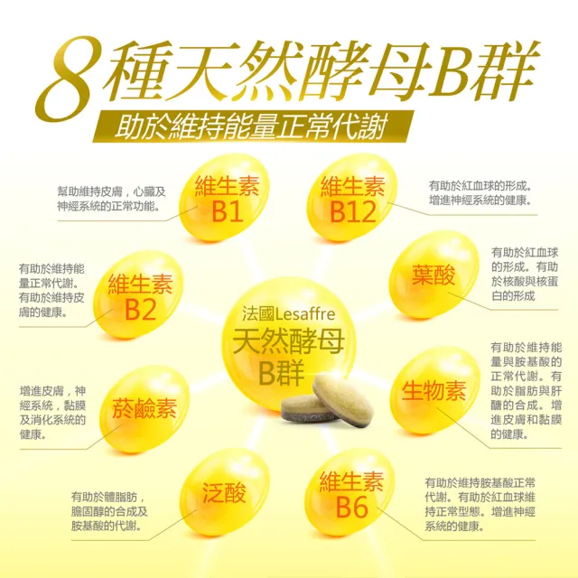 【健康力】法國天然酵母B群活力錠30錠x4瓶(共120錠) 徐若瑄代言(全素 長效緩釋 紅景天 五味子 鋅)