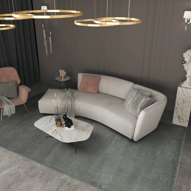 SDL Home 山德力 Vinus超柔細纖地毯240x366cm(素色質感灰)