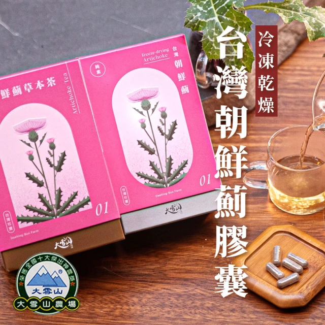 元氣五寶茶2盒(24gX8包/盒)品牌優惠