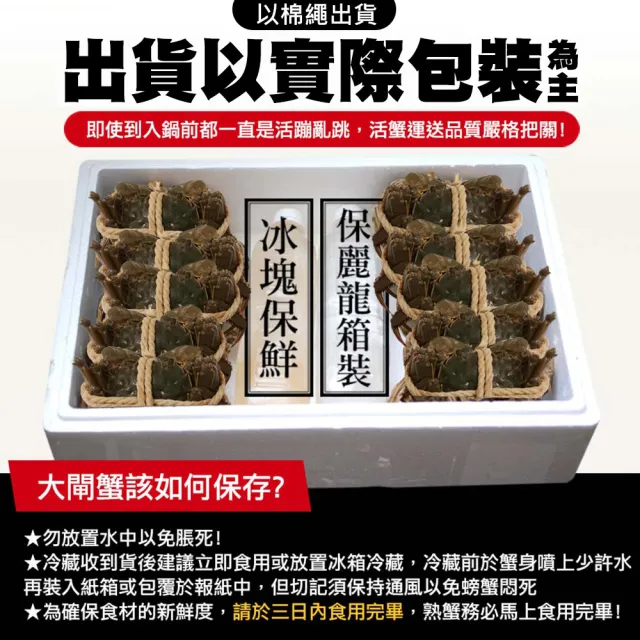 【優鮮配】滿滿蟹黃鮮活江南-母 大閘蟹6隻(4兩/隻-加碼工具組)