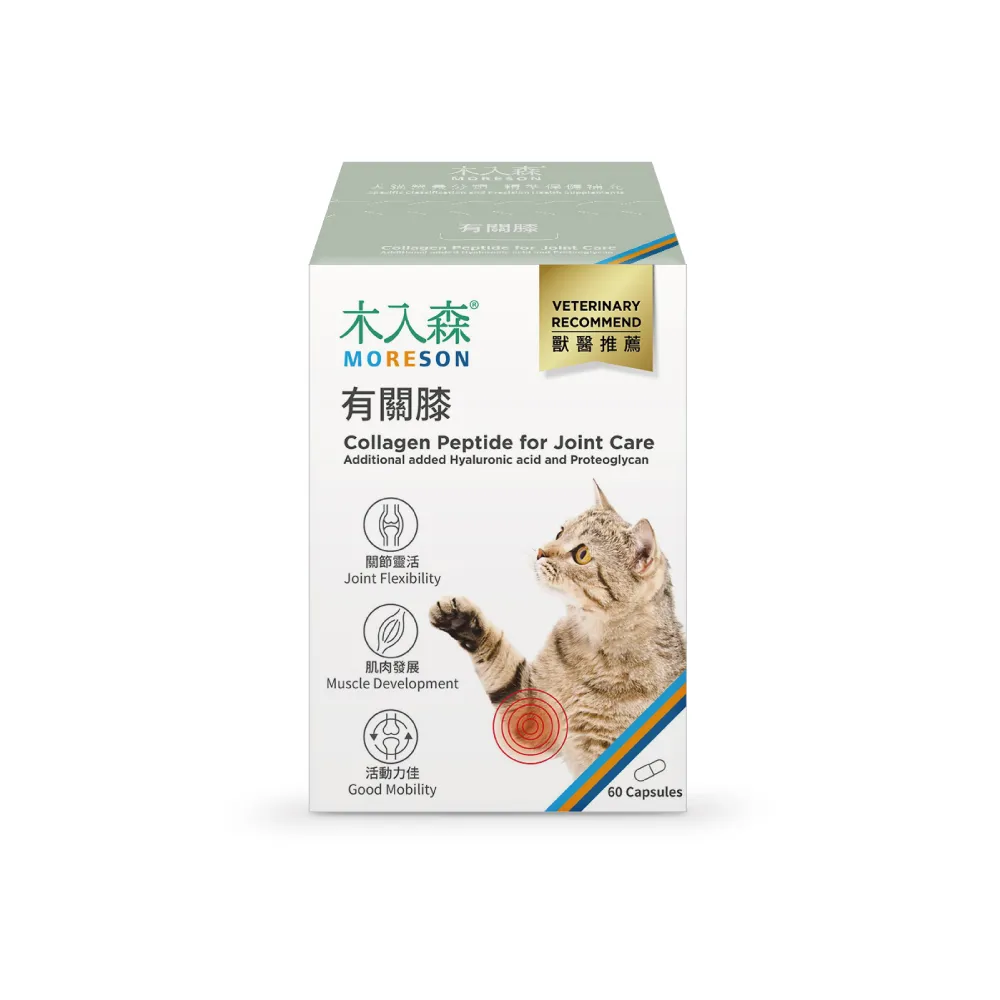 【木入森】貓咪有關膝 60顆/盒(貓咪關節保健食品 膠原蛋白 玻尿酸 老貓照護 貓關節保健)