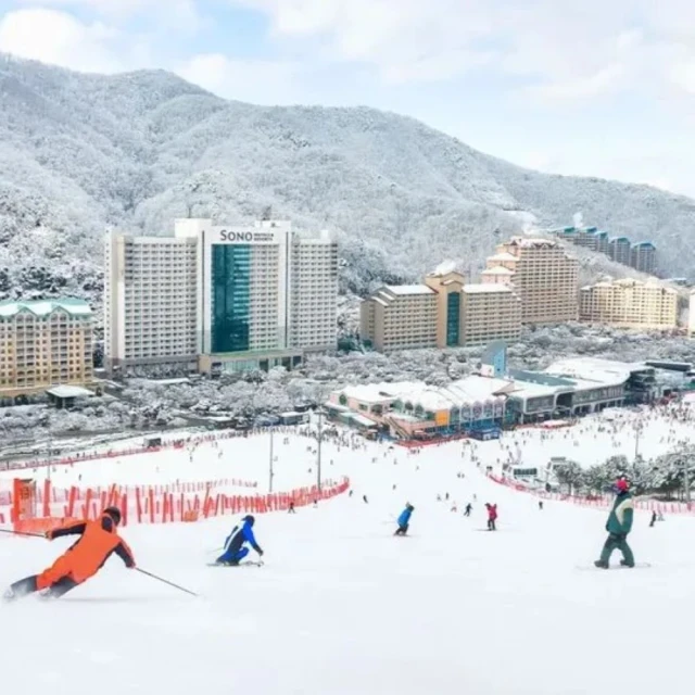 洪川大明SONO滑雪度假村 首爾滑雪一天團★含雪具雪服、單雙板基礎滑雪課★不含吊車證(3歲以下兒童免費)