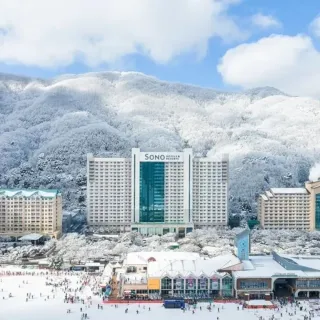 【洪川大明SONO滑雪度假村】首爾滑雪兩天一夜★贈冰雪樂園門票(3歲以下兒童免費)