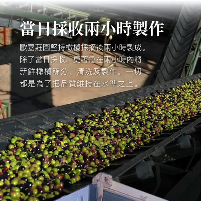 【Casa del Agua 歐嘉】特級冷壓初榨橄欖油250mlx6入(莊園職人款 高發煙點 料理好安心)
